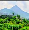 Bán đất Ba Vì, Minh Quang, gần UB xã, trạm y tế, K9, Ba Trại, 1299m, view núi, 2.7tỷ