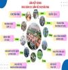 CHỈ 500 TRIỆU SỞ HỮU ĐẤT Ở ĐÔ THỊ TRUNG TÂM CHỢ BÃI NAI, P. KỲ SƠN