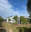 Kho xưởng bãi 1.700 m² kho xây dựng 375 m² có trạm điện 3 pha, đất SKC