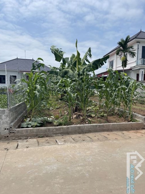 BÁN ĐẤT PHÂN LÔ ĐÔNG TẢO, KHOÁI CHÂU, HƯNG YÊN, 125m, MT 5.5m, CHỈ 2.65 TỶ - 1