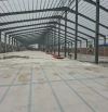 Cho thuê kho xưởng QL 1A Thường Tín 5500m2