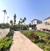 ‼️Hơn 900 triệu ‼️ sở hữu đất Lâm Động, Thuỷ Nguyên đẹp không tỳ vết sát trục chính.