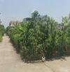 6,8 tỷ / 75m CẦN BÁN ĐẤT LÔ GÓC KDT MỚI NINH TIẾN.