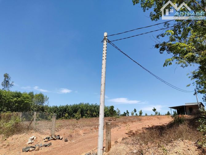 Bán đất đang trồng cao su hơn 6 năm tuổi, giá chỉ 570tr, ra đường nhựa Nam Lộ chỉ 400m - 1