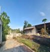 Bán Lô Đất Đẹp 1/ đường Bàu Cạn, Long Thành, TP.Đồng Nai. 4563m2 (57x80m) QH full đất ở