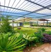 🏡 CĂN NHÀ VIEW ĐỒI THÔNG – KHÔNG GIAN SỐNG YÊN BÌNH, THOÁNG MÁT QUANH NĂM - 2 TỶ 3