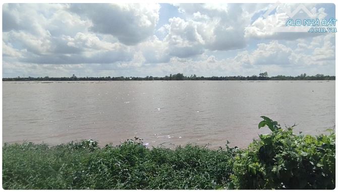 Đất nghỉ dưỡng view sông Tiền, toạ lạc tại "Vương Quốc Sầu Riêng" - 1