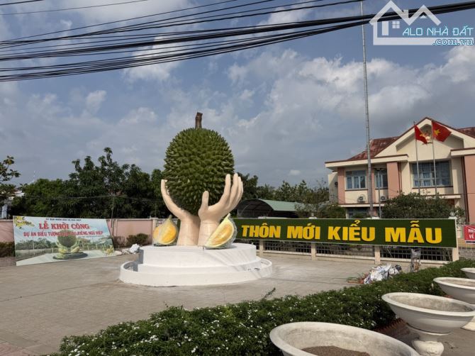 Đất nghỉ dưỡng view sông Tiền, toạ lạc tại "Vương Quốc Sầu Riêng" - 3