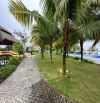 Siêu phẩm nghĩ đưỡng miền Tây khu du lịch An Bình Vĩnh Long giá rẻ như cho