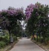 96m .Khu đô thị phía tây, phường thanh bình. Tp Hải dương