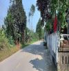 CHO THUÊ NHÀ ĐƯỜNG LONG HỒ, KIM LONG, TP HUẾ