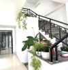 🔥🔥🔥 BÁN TOÀ CĂN HỘ 3,5 TẦNG ĐƯỜNG AN THƯỢNG 14, DOANH THU 35 TR/ THÁNG🏠.