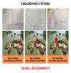 SỞ HỮU 1 TRONG NHỮNG BÁN ĐẢO NGHỈ DƯỠNG ĐẸP NHẤT HỒ NÚI CỐC – ĐẦU TƯ SINH LỜI – NGHỈ DƯỠNG