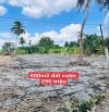 500m2 vuờn có nền đường ôtô 290 triệu tân trụ_Long an giá rẻ vew kênh mát mẽ