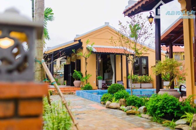 🌾 VILLA VIEW LÚA CẨM CHÂU – 382M² NGANG 12M – HỒ BƠI ĐẲNG CẤP 🌾 - 1