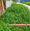 Hàng FO CHỈ ĐẠO VĂN LÂM - 43m2 GIÁ NHỈNH 1 TỶ