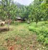 Bán đất Khánh Thượng, Ba Vì, gần TL415, vuông, nở hậu, đường thông, gần đồng, 1081m, 2.8tỷ
