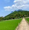 Bán gấp 1081m2 đất Khánh Thượng, Ba Vì, gần TL415, Nhà Văn hóa, view đồng, nở hậu, 2.8tỷ