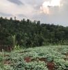 🌈☘️3,4 Sào Hẻm 19/5 Gần Hồ EaKao (56x67m🔥1.4ty)