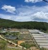 🔥 CHỈ hơn 6 tỷ - sở hữu ngay 3.700m2 View Rừng Thông Sổ Riêng NN phường 11 Đà Lạt