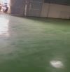 Cho thuê kho đường Hoàng Quốc Việt – 1400m2 – sàn epoxy – container 24/7 – giá 140tr/tháng