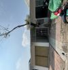 SIÊU PHẨM ĐẦU TƯ - CẶP TRỌ NL19 CẠNH CHỢ MỸ PHƯỚC 3