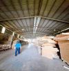 X107 Bán Nhà Xưởng Phường Hố Nai Mới _Đồng Nai. Tổng Diện Tích: 4500m2.  👉Giá Chỉ: 16tỷ 3