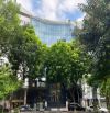 Building 9 Tầng 5500M2 Sàn Trần Thái Tông Thổ Cư Sổ Hoàn Công 385 Tỷ