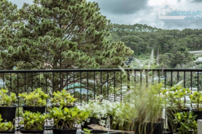 🏡 Villa 564m2, Sang trọng cao cấp đường Trịnh Hoài Đức, Đà Lạt - 1