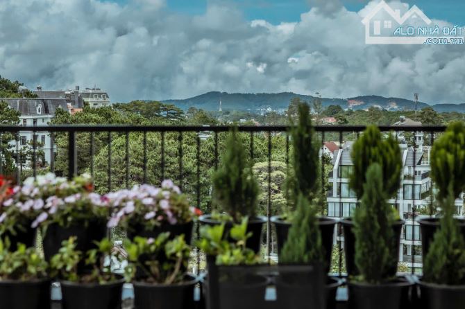 🏡 Villa 564m2, Sang trọng cao cấp đường Trịnh Hoài Đức, Đà Lạt - 3