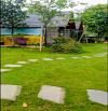 Bán resort, nhà vườn Minh Quang Ba Vì, view đồng 3949m, dòng tiền, gần K9 Ba Trại, 17.5tỷ