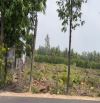 Đất full thổ 258m2 (6x43) MT nhựa ấp 10, Lương Hoà, Bến Lức, Long An, có 2 nền liền