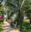 🌊 AN BÀNG – GIỜ KHÔNG THIẾU ĐẤT GẦN BIỂN… CHỈ THIẾU QUỸ ĐẤT ĐỦ ĐẲNG CẤP ĐỂ LÀM BIỂU TƯỢNG