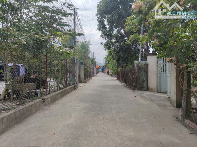 Bán đất 4x17.5m, hẻm Liên Huyện p. Tân Bình gần chợ Phú An - 4