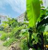 HOT KIÊU KỴ - CẠNH VIN OCEAN PARK 1 📣 Ô TÔ ĐỖ CỬA - NỞ HẬU ĐẸP - 44M2 - TẦM TIỀN HIẾM
