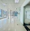 Cho thuê văn phòng 115m2 phố Trần Quang Diệu giá chỉ từ 18tr vuông vắn trần cao, lô góc