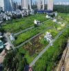 Bán Đất KDC Thái Sơn Bộ Quốc Phòng – 10x25m (250m²) – Giá 61tr/m² – Ngay Trục Nguyễn Hữu T