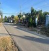 Về Bắc cần bán 1500m2 đất Bàu Bàng Đường nhựa 10m đang cho thuê trồng bưởi