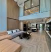 Nhà phố Tân Thụy , 55m² 7 tầng thang máy , mặt phố , kinh doanh , 25 tỷ