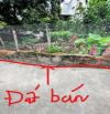 BÁN ĐẤT ĐẸP CỔ BI, GIA LÂM- CHỈ HƠN 3 TỈ, VỪA KHUÔN TIỀN - MUA XÂY NHÀ Ở HAY ĐẦU TƯ ĐỀU ỔN
