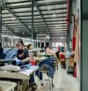 Cho thuê xưởng 4500m2 mới 100% KCN Xuyên Á giáp Hóc Môn tiếp nhận đa ngành giá chỉ 70k/m2