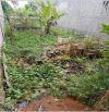 cần bán 2 nền Nền 1: bán đất thổ cư, sổ hồng riêng , lương bình bến lức long an