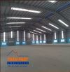 🏭 TOÀN PHÁT LOGISTICS – GIẢI PHÁP KHO BÃI ỔN ĐỊNH CHO DOANH NGHIỆP MÙA CAO ĐIỂM