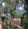 Bán homestay đường Khe Sanh , 2035m2 giá 18ty9