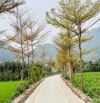 Đất Ba Vì gần 3tỷ, 912m, view đồng, oto tránh, gần UB xã, trường C1 Minh Quang, điểm Bus.