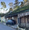 Cho thuê homestay Sào Nam phường 11 Đà Lạt 7 triệu/tháng