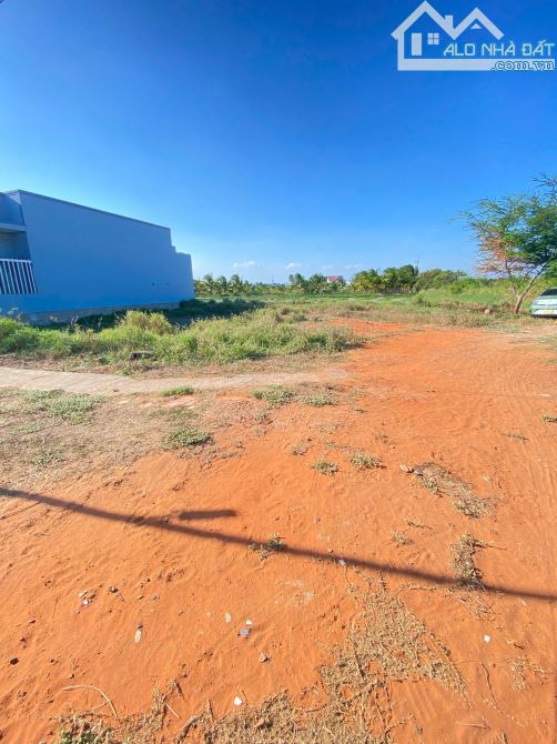 Bán gấp lô 100m2 thổ cư phú long đường 4m giá chỉ 500tr - 1