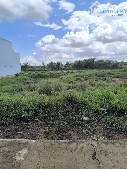Bán gấp lô 100m2 thổ cư phú long đường 4m giá chỉ 500tr - 2