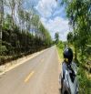 🏡 ĐẤT MẶT TIỀN ĐƯỜNG NHỰA EA KAO ĐẮK LẮK 🏡