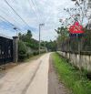 XN253 🆘Cho Thuê Xưởng Tổng Diện Tích Sử Dụng 1300m2 _ P. Phước Tân _Biên Hoà. .